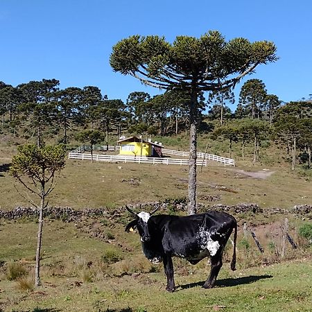 Casa E Cabana De Campo Fazenda Borba Urubici Zewnętrze zdjęcie