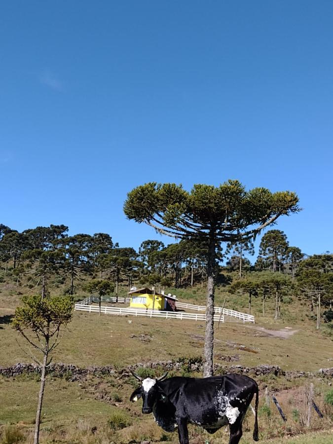 Casa E Cabana De Campo Fazenda Borba Urubici Zewnętrze zdjęcie