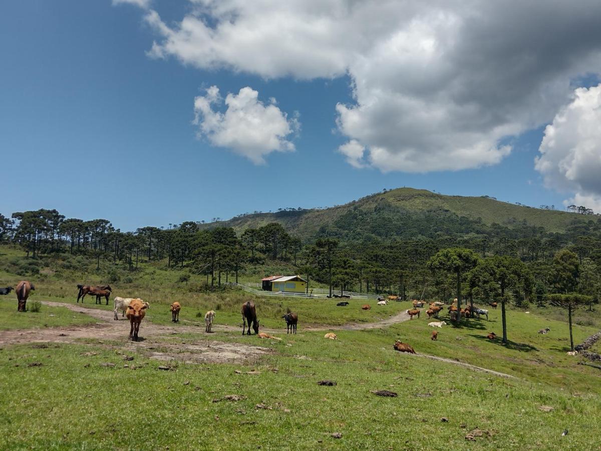Casa E Cabana De Campo Fazenda Borba Urubici Zewnętrze zdjęcie