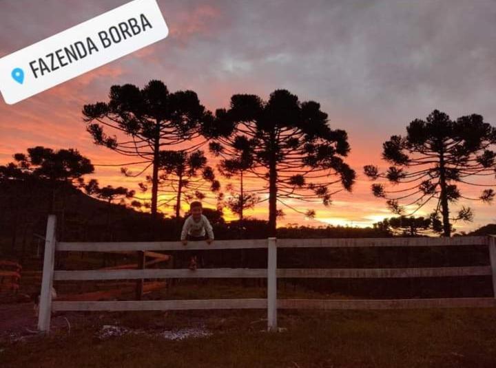 Casa E Cabana De Campo Fazenda Borba Urubici Zewnętrze zdjęcie