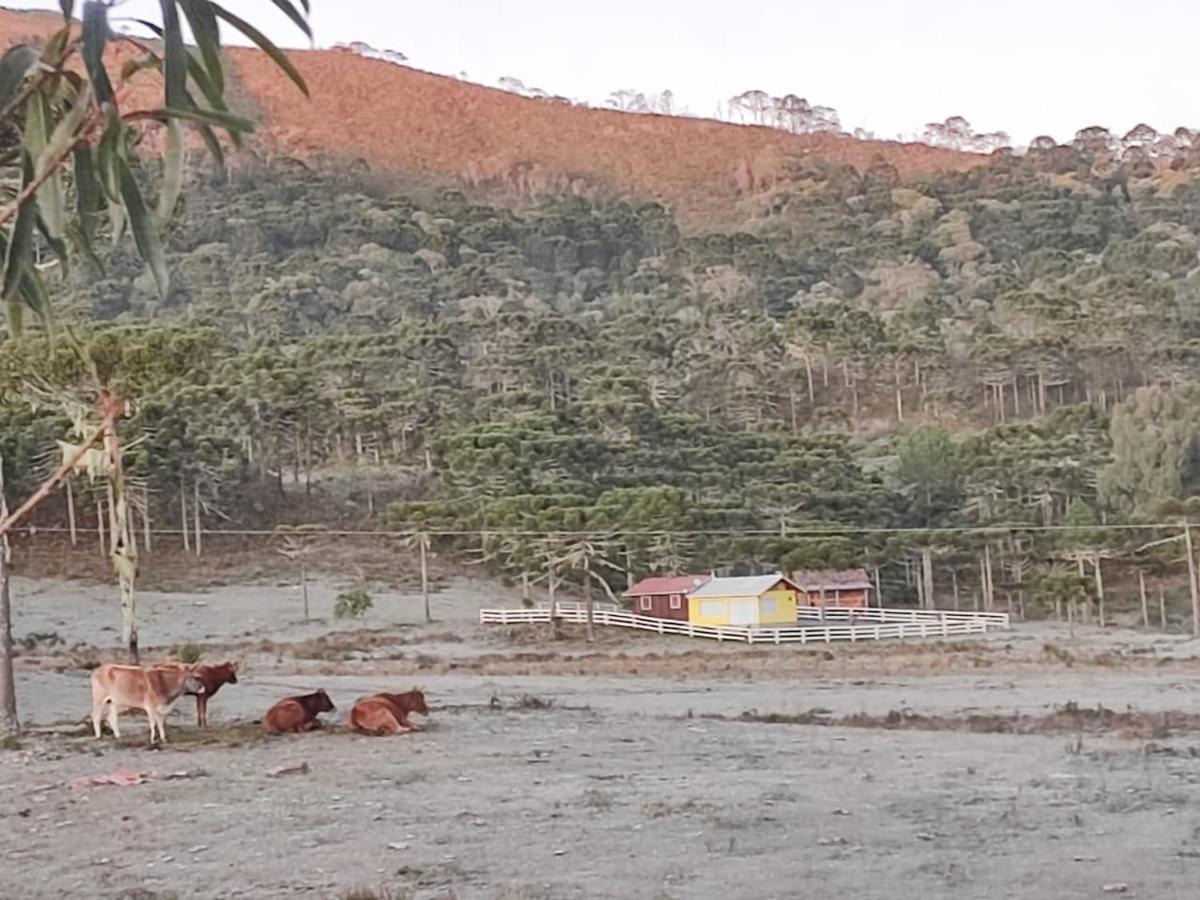 Casa E Cabana De Campo Fazenda Borba Urubici Zewnętrze zdjęcie