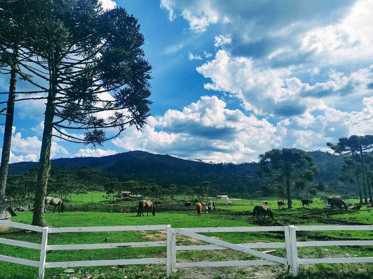 Casa E Cabana De Campo Fazenda Borba Urubici Zewnętrze zdjęcie
