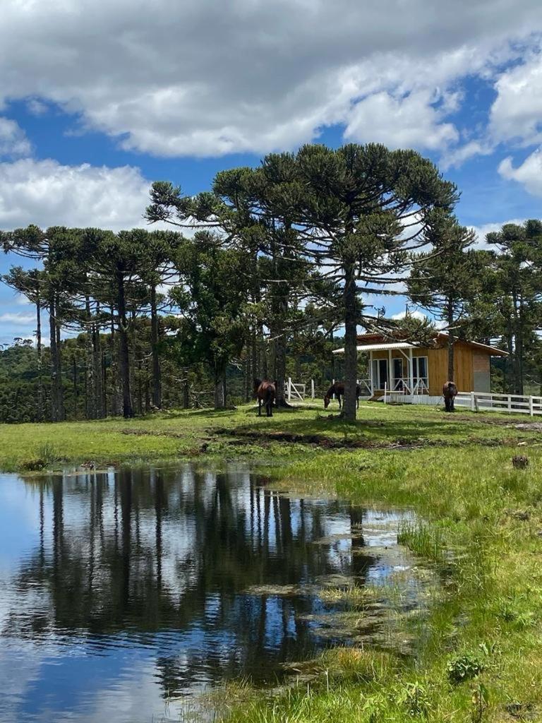 Casa E Cabana De Campo Fazenda Borba Urubici Zewnętrze zdjęcie