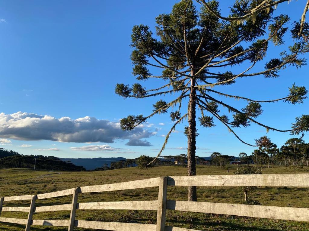 Casa E Cabana De Campo Fazenda Borba Urubici Pokój zdjęcie