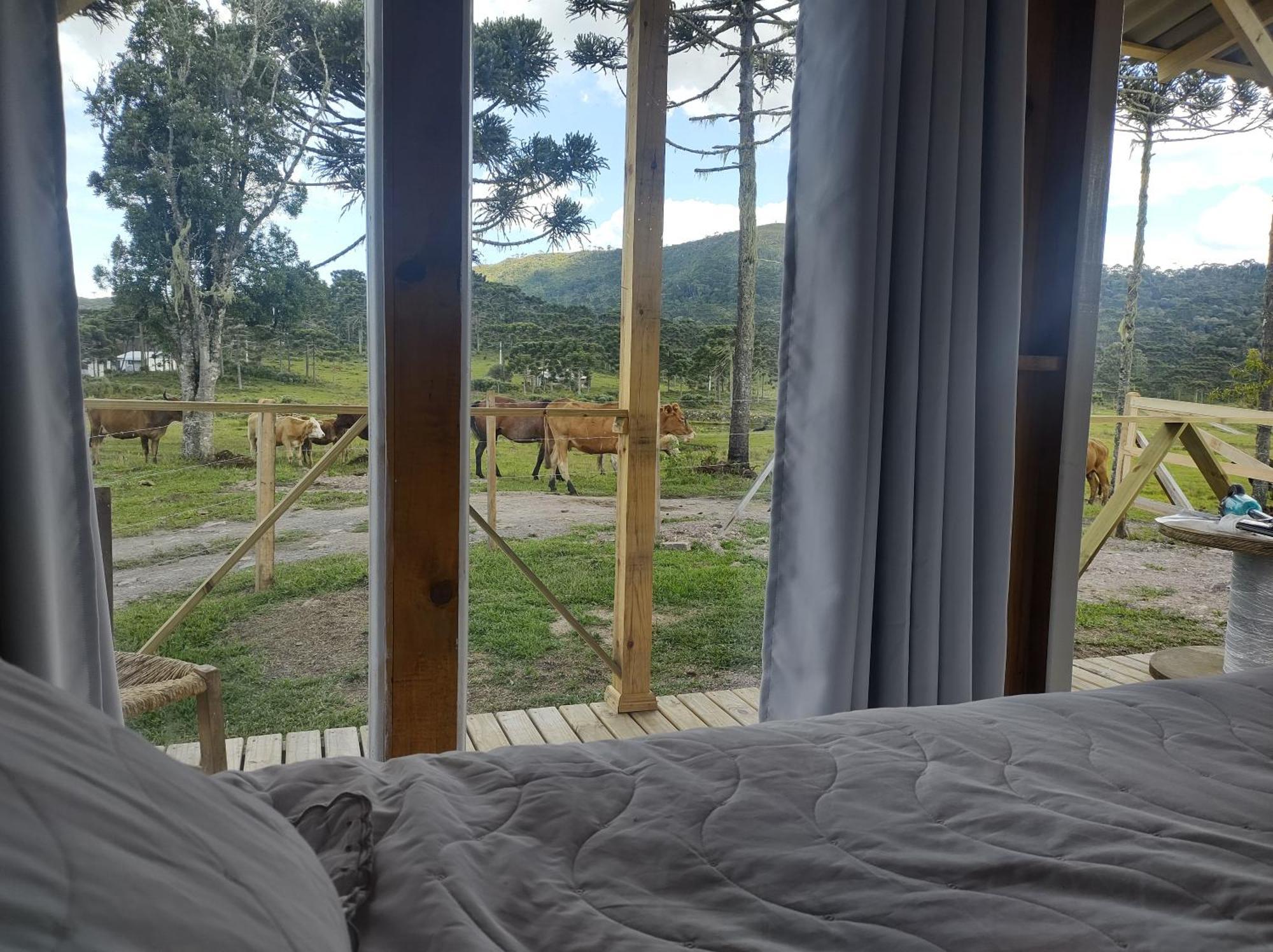 Casa E Cabana De Campo Fazenda Borba Urubici Pokój zdjęcie