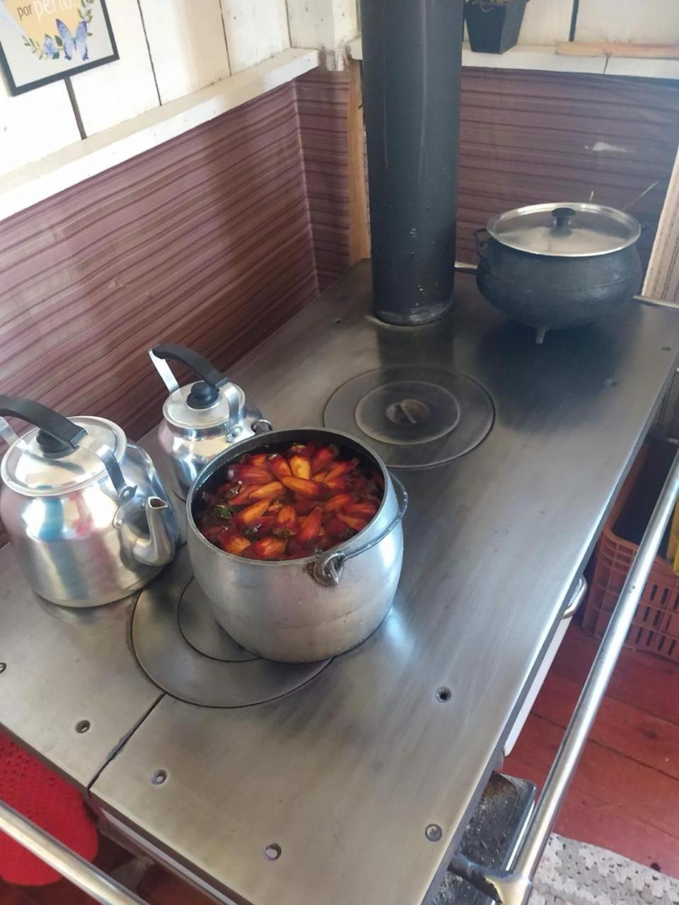 Casa E Cabana De Campo Fazenda Borba Urubici Zewnętrze zdjęcie