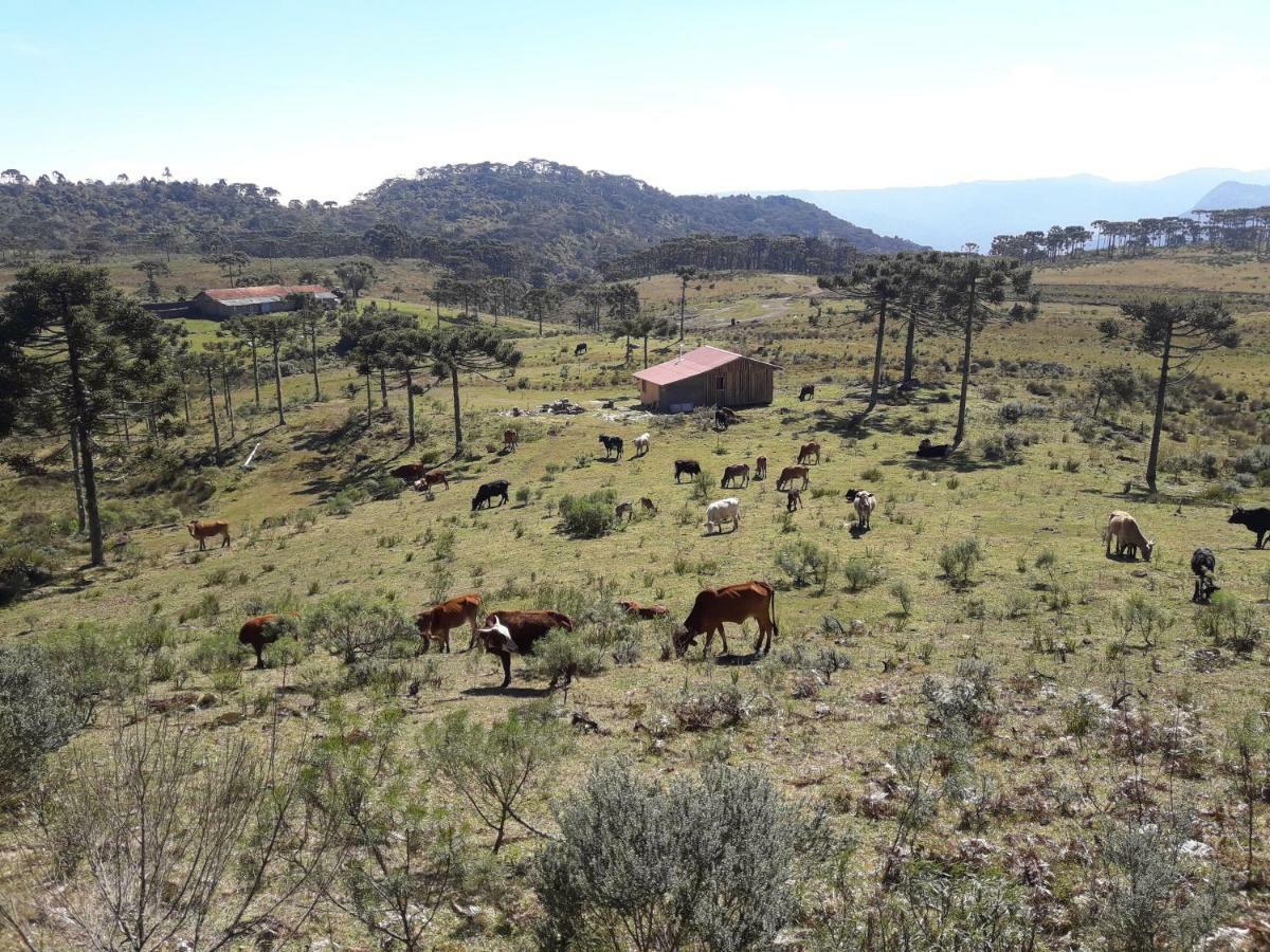 Casa E Cabana De Campo Fazenda Borba Urubici Zewnętrze zdjęcie